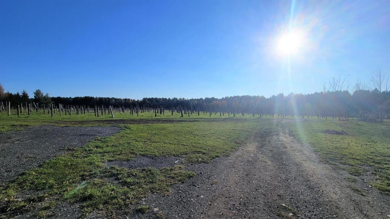 Auberge Du Vignoble بورمونت المظهر الخارجي الصورة